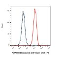 Etaracizumab (anti-Integrin aVb3)