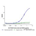 Fasinumab (anti-NGF)