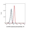 Lecanemab (anti-Amyloid Beta)