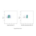 Lintuzumab (anti-CD33)