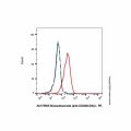 Mosunetuzumab (anti-CD20&CD3e)