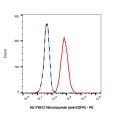 Nimotuzumab (anti-EGFR)