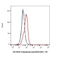 Ontamalimab (anti-MADCAM1)