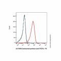 Sacituzumab govitecan (anti-TROP2)