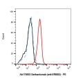 Seribantumab (anti-ERBB3)