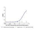 Solanezumab (anti-Amyloid Beta)