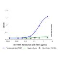 Tanezumab (anti-NGF)