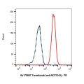 Tarextumab (anti-NOTCH3)