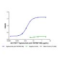Tigatuzumab (anti-TNFRSF10B)