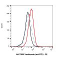 Vantictumab (anti-FZD)
