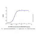 Vanucizumab (anti-ANG2&VEGFA)