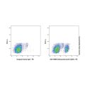 Veltuzumab (anti-CD20)