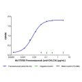 Fremanezumab (anti-CALCA)