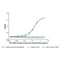 Gantenerumab (anti-Amyloid Beta)