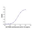 Lebrikizumab (anti-IL-13)