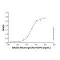 BALB/c Mouse IgG