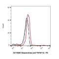 Sibeprenlimab (anti-TNFSF13)