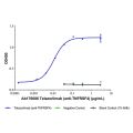 Telazorlimab (anti-TNFRSF4)
