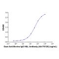 Goat Anti-Bovine IgG H&L Antibody