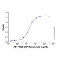 DNP Mouse mAb
