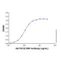 DNP Antibody