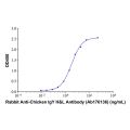 Rabbit Anti-Chicken IgY H&L Antibody
