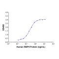 RBP4 Mouse mAb