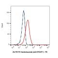 Vandortuzumab (anti-STEAP1)