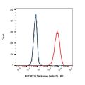Tisotumab (anti-F3)