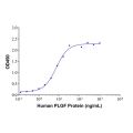 PLGF Mouse mAb