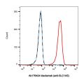 Idactamab (anti-SLC1A5)