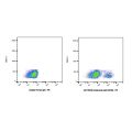 Inotuzumab (anti-CD22)