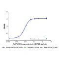 Bimagrumab (anti-ACVR2B)