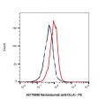 Navicixizumab (anti-DLL4)