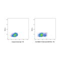 TTX-030 (anti-ENTPD1)