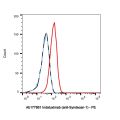 Indatuximab (anti-Syndecan-1)
