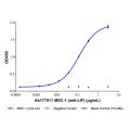 MSC-1 (anti-LIF)