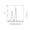 Ganitumab (anti-IGF1R)