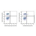 CD25 Rat mAb (FITC)