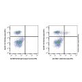 CD25 Rat mAb (PE)