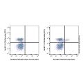CD25 Rat mAb (APC)