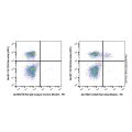CD25 Rat mAb (Biotin)
