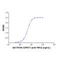 CDP571 (anti-TNFa)