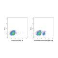 Divozilimab (anti-CD20)