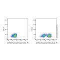 Recombinant CD3 Antibody