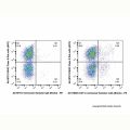 CD11c Armenian Hamster mAb (Biotin)