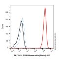 CD38 Mouse mAb (Biotin)
