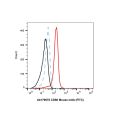CD86 Mouse mAb (FITC)