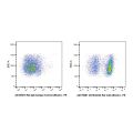 CD16/CD32 Rat mAb (Biotin)