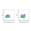 CD16/CD32 Rat mAb (FITC)